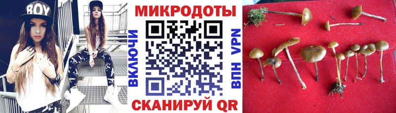 Псилоцибиновые грибы мицелий  mega рабочий сайт  Вязьма 